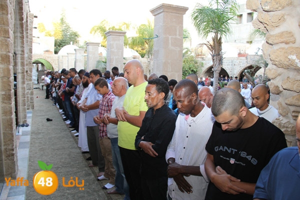 3eed ad7a akber 0510 (31).JPG